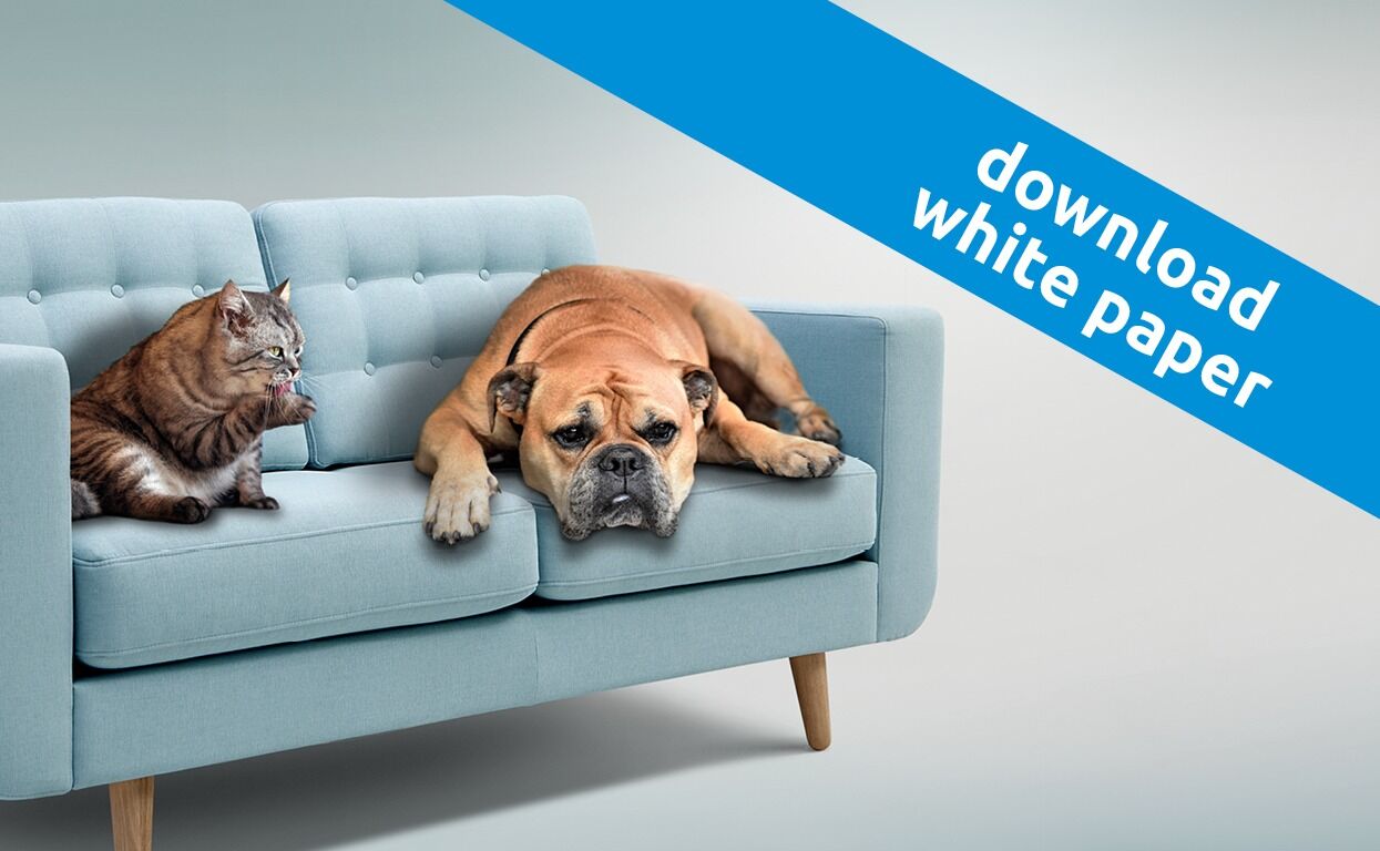 cellulose as an important ingredient