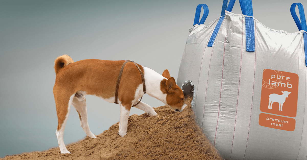 IQI_lamb meal_added values