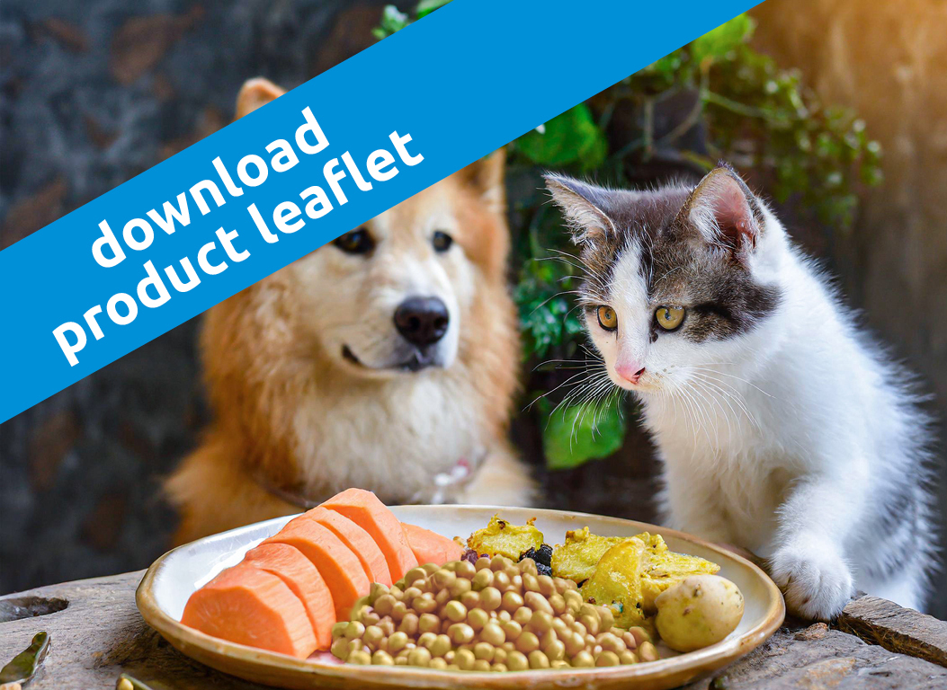 Grainfree pet food solutions for today and tomorrow IQI Petfood