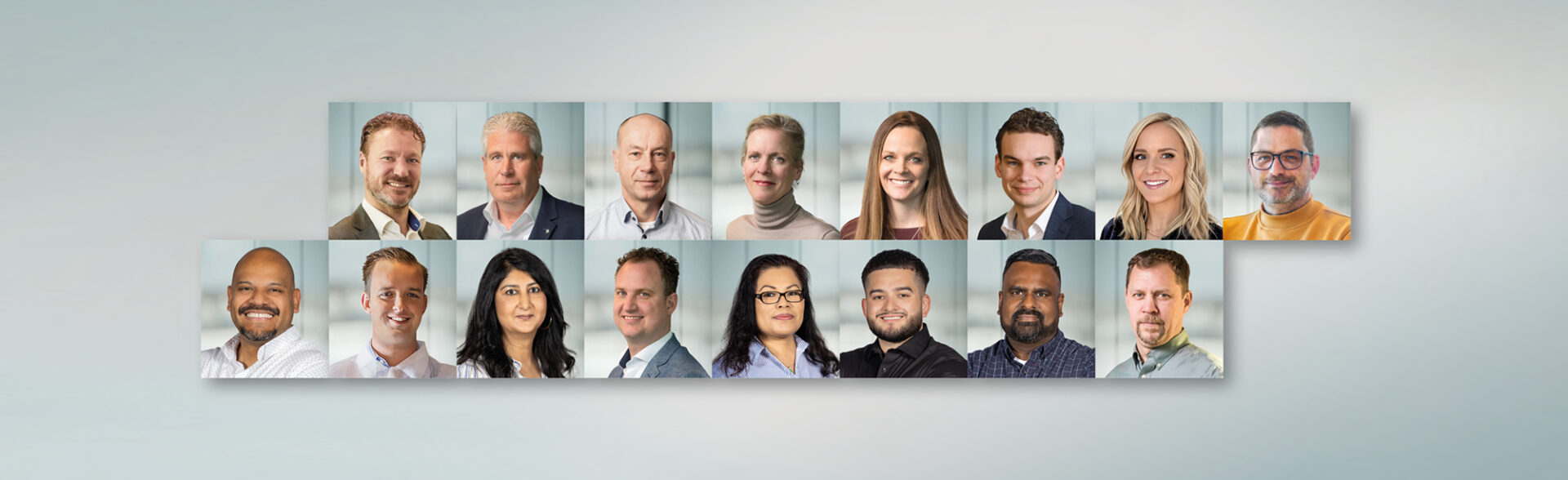 Our team