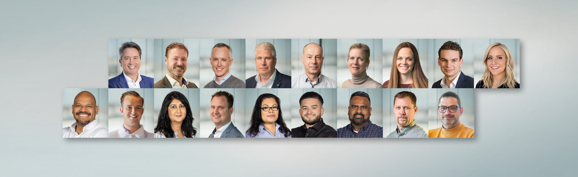Our team