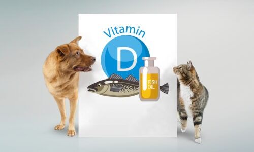 IQI News Vitamin d and fish oil