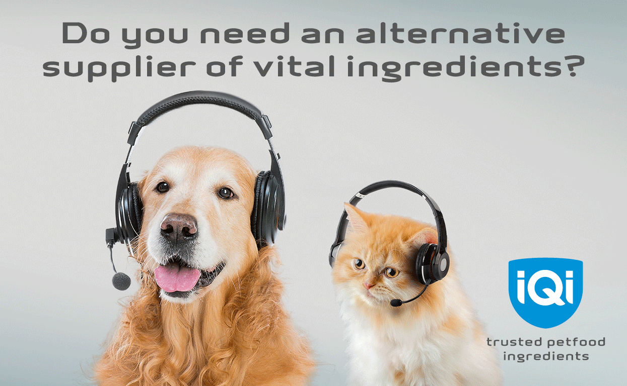 Dog With Headphones Gif