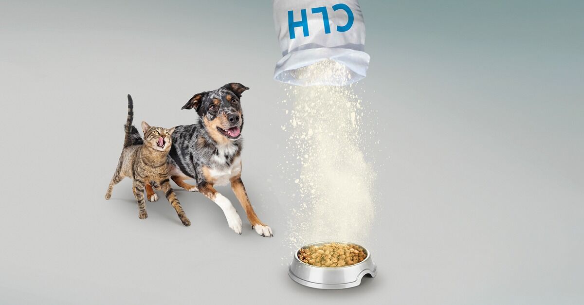Chicken liver hydrolysate (CLH) - IQI Petfood Chicken liver hydrolysate (CLH) - IQI Petfood