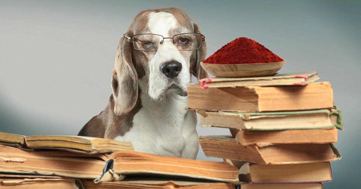 Astaxanthin manufacturer Astaxanthin manufacturer