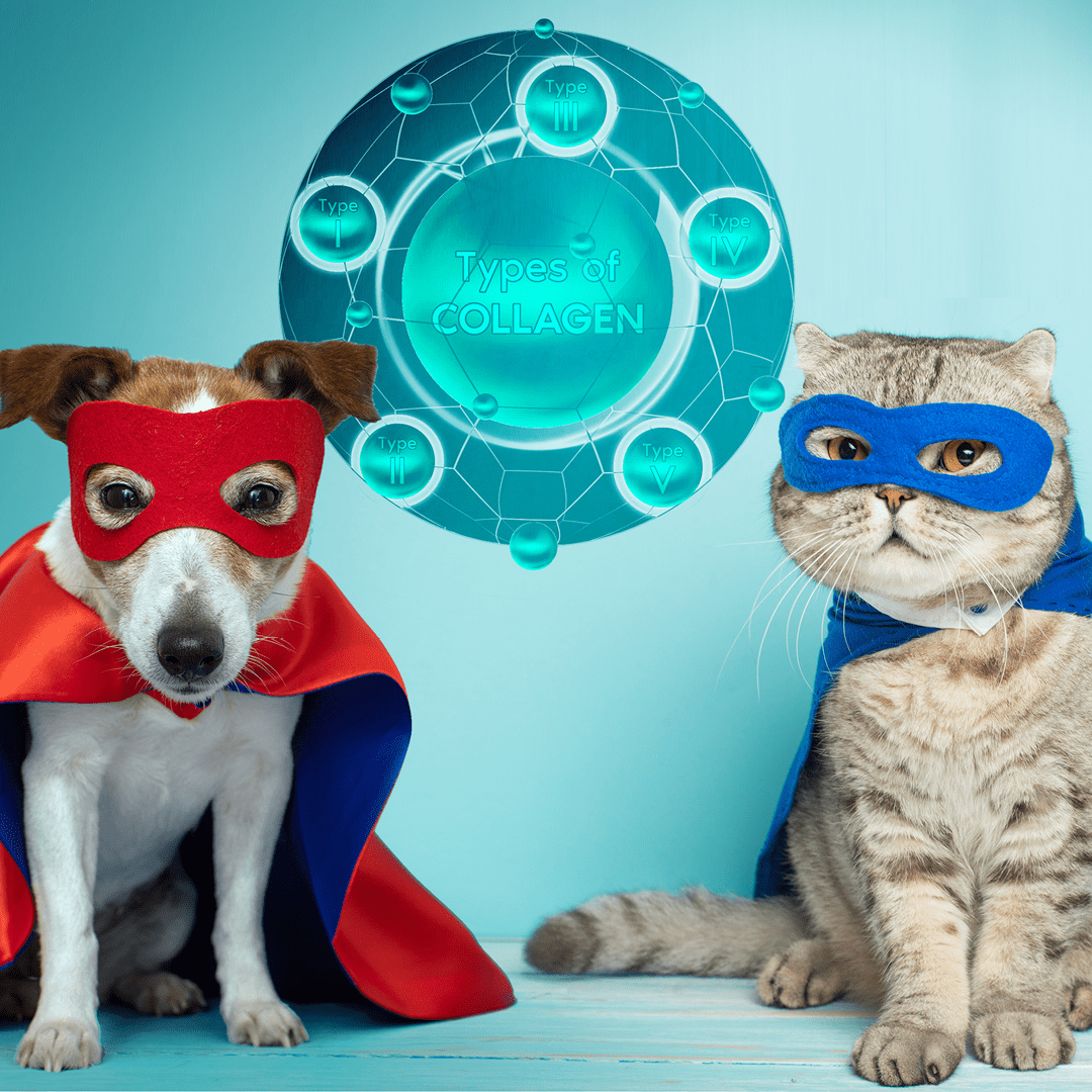 IQI white paper collagen