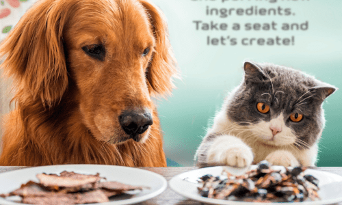 Petfood Forum 2023