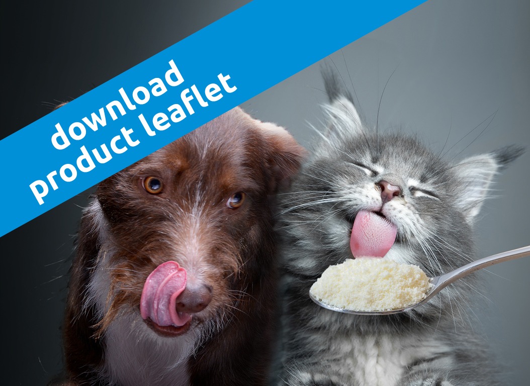 Dried chicken collagen powder as alternative for pork gelatin and collagen IQI Petfood